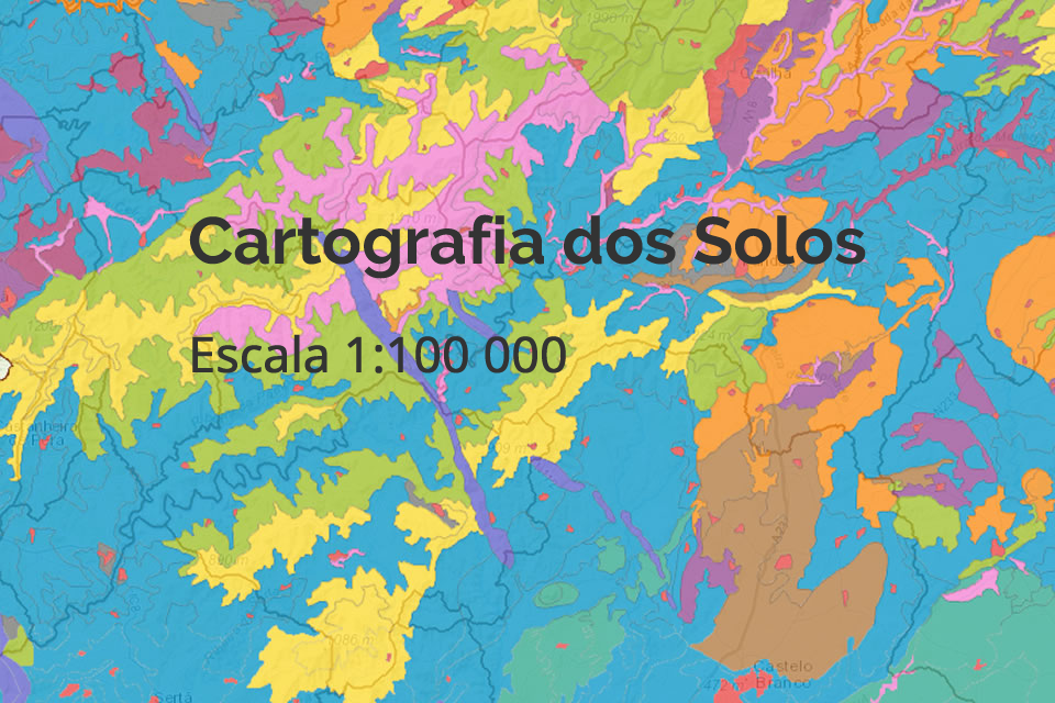 Cartografia dos Solos à escala 1:100 000
