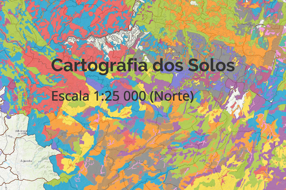 Cartografia dos Solos à escala 1: 25 000 (Norte)