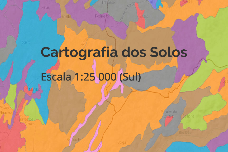 Cartografia dos Solos à escala 1: 25 000 (Sul)